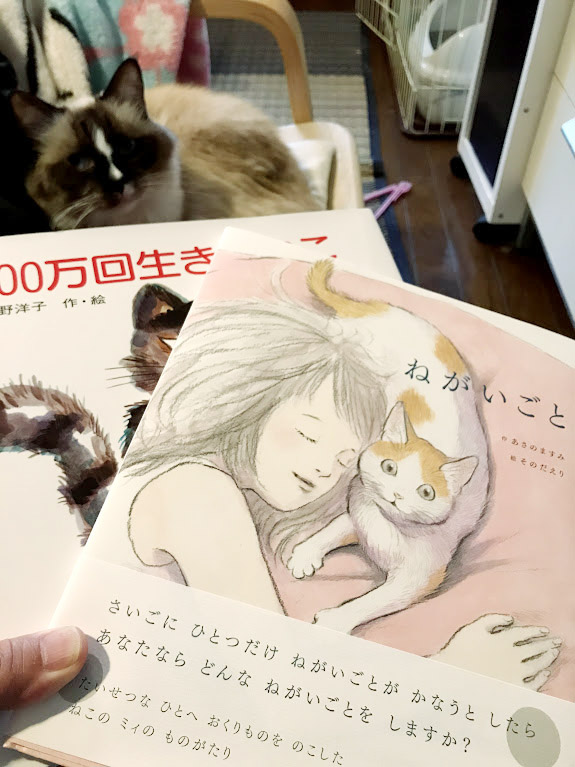 猫の感動の本たち