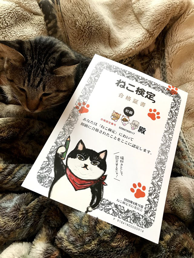 ねこ検定合格証明